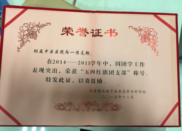 院內(nèi)科一團支部榮獲“校2014-2015學(xué)年五四紅旗團支部“榮譽稱號(圖2)