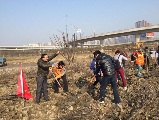 我院職工積極參加 “義務植樹”公益活動(圖1)