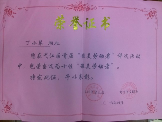 護士丁小琴榮登弋江區(qū)十佳“最美勞動者”榜單(圖4)