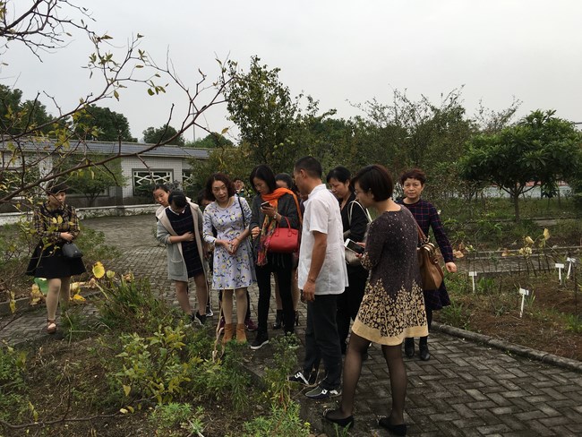 護理部舉辦2016年蕪湖市中醫(yī)護理專業(yè)學(xué)組活動(圖1)