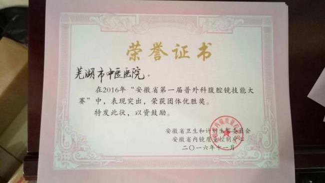我院普外科在全省腹腔鏡技能大賽中榮獲團隊優(yōu)勝獎(圖3)