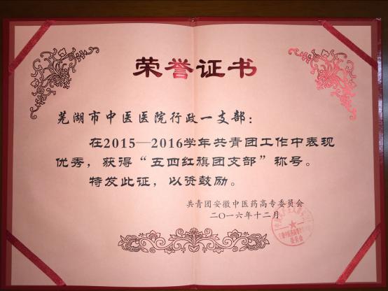 院團委在校團委2016年度“兩紅兩優(yōu)”表彰中獲多項榮譽(圖3)