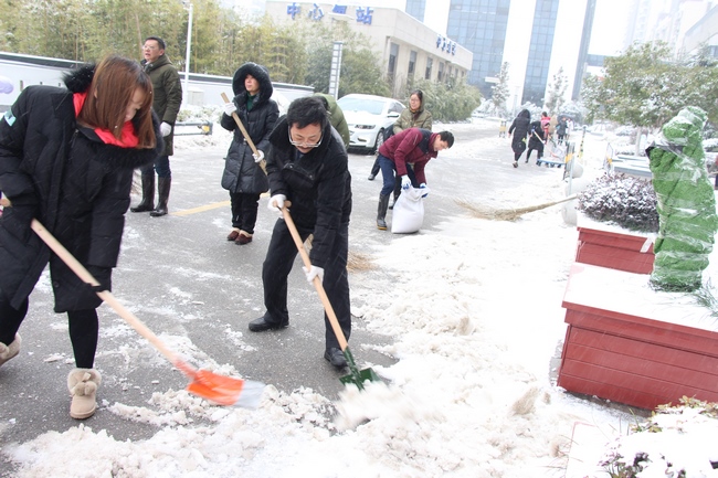 我院組織人員及時掃除積雪 保障患者群眾就診安全(圖7)