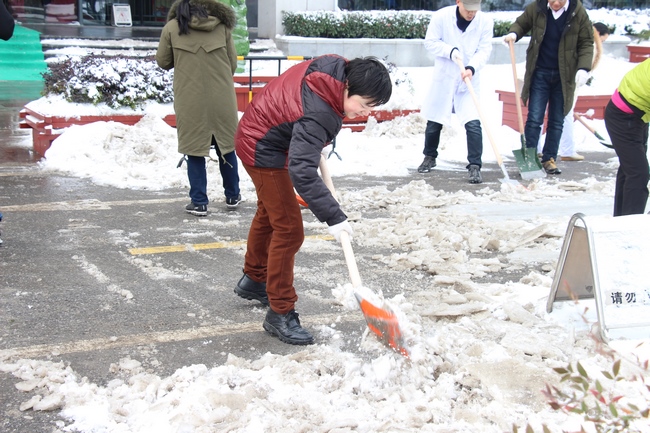 我院組織人員及時掃除積雪 保障患者群眾就診安全(圖12)