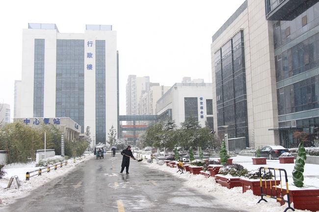 我院組織人員及時掃除積雪 保障患者群眾就診安全(圖14)