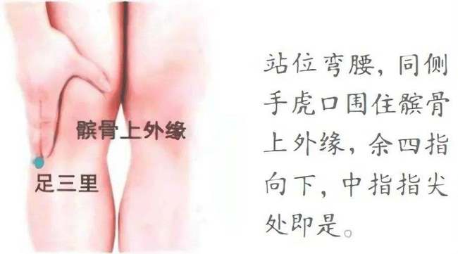 圖片7 (復制).jpg