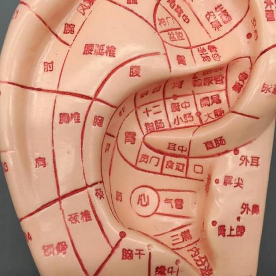 圖片8 (復制).jpg