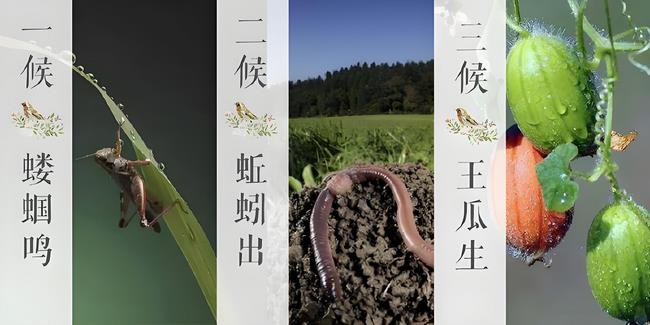 立夏三侯 (Copy).jpg 立夏三侯 (Copy).jpg