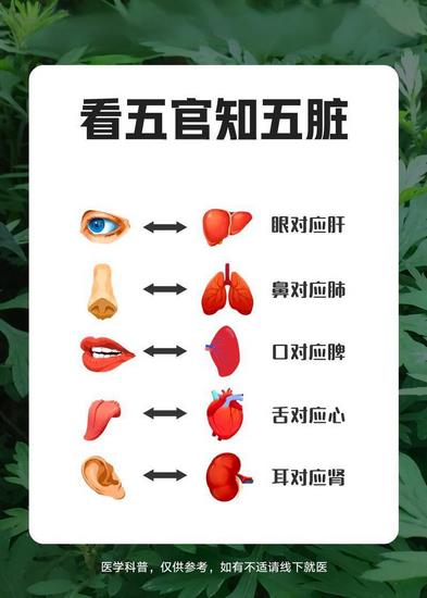 五行對應五臟五官 (Copy).jpg 五行對應五臟五官 (Copy).jpg